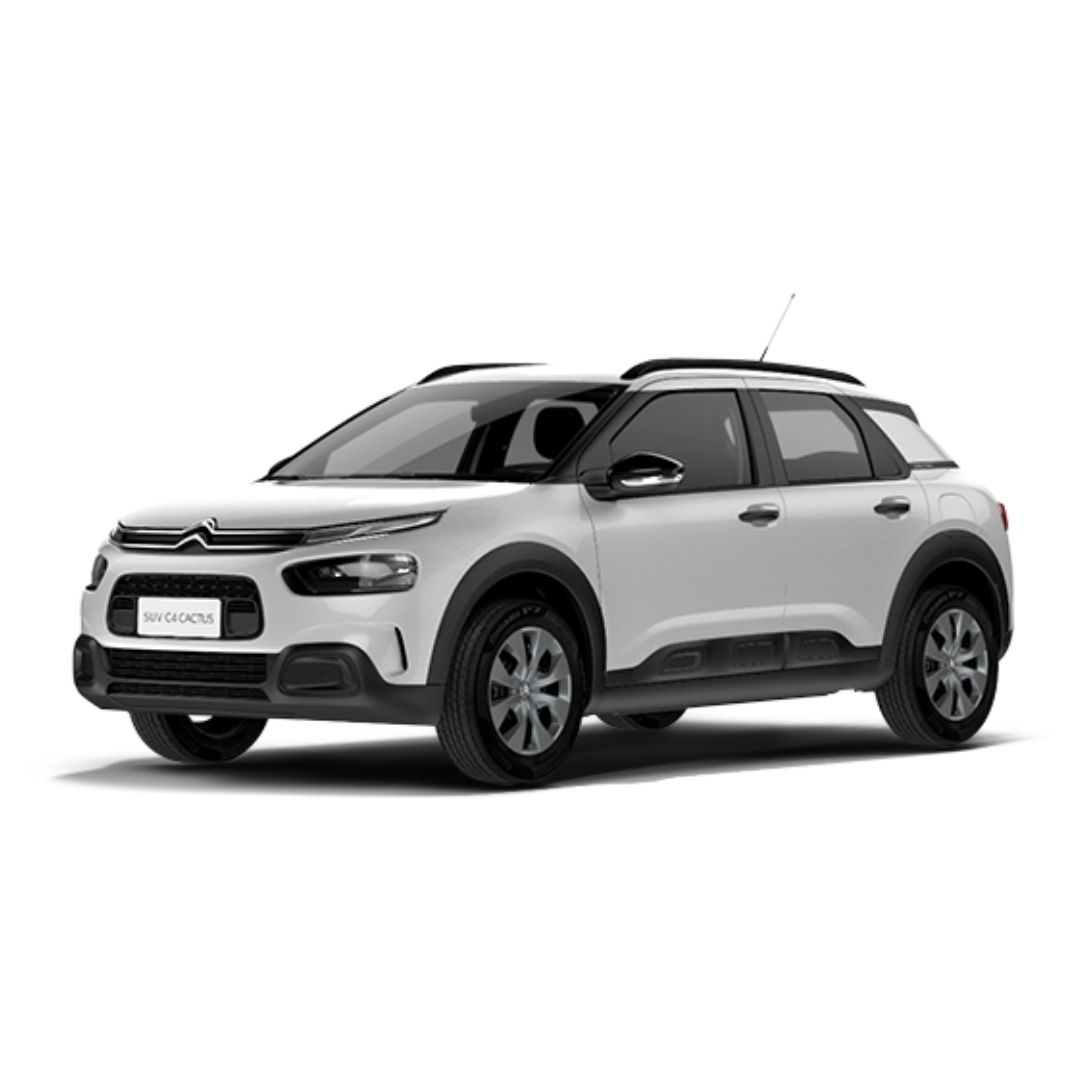 C4 Cactus