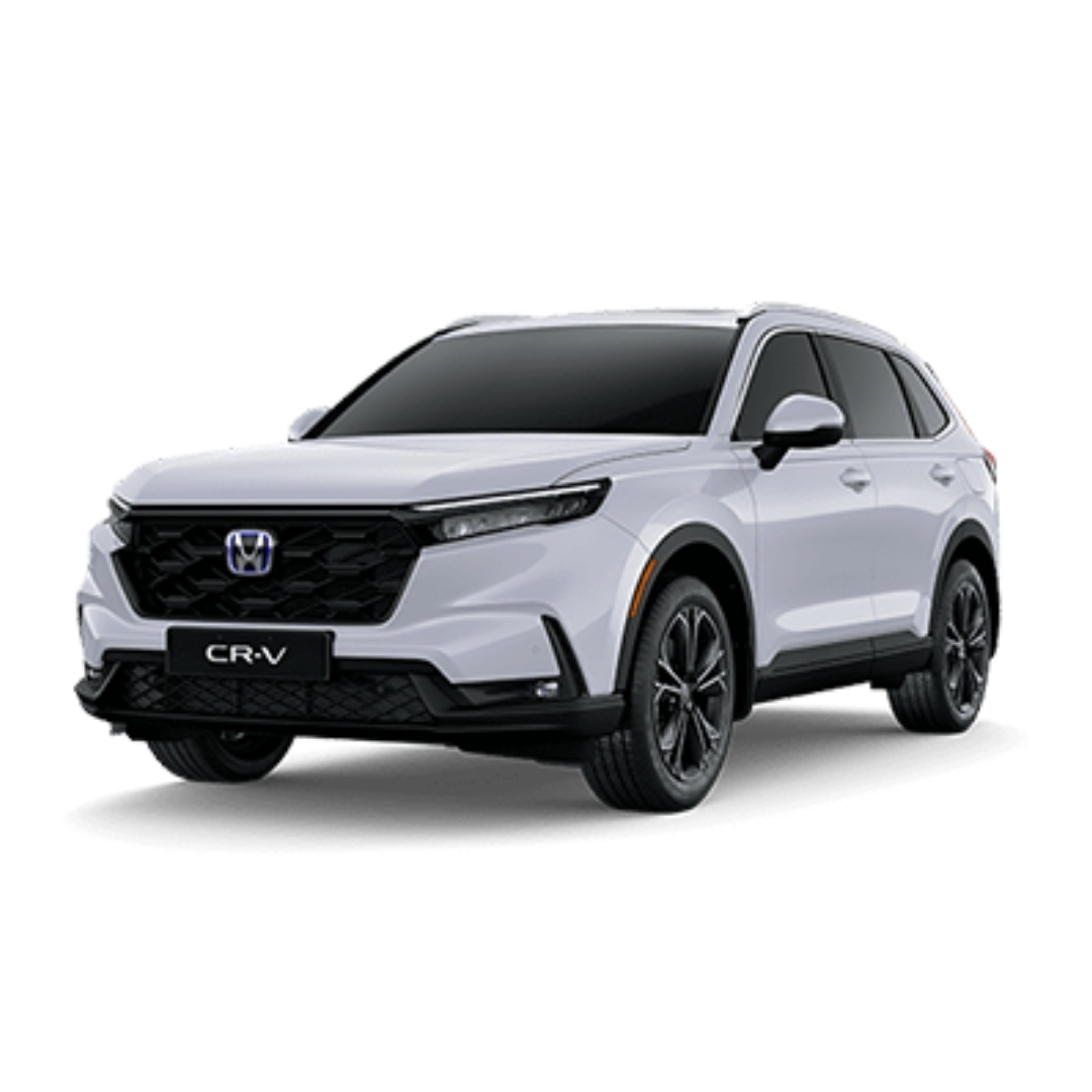 Crv