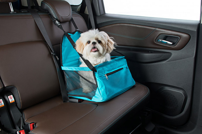 Chevrolet lança acessórios para o transporte de PETs