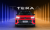 vw tera
