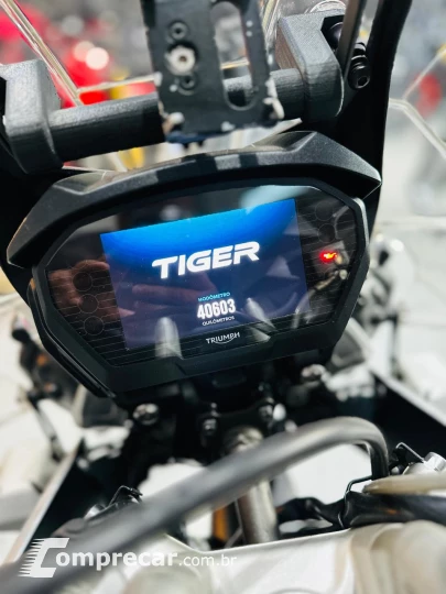 TIGER 800 XCA