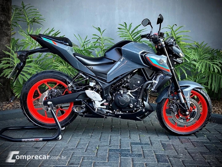 MT-03 ABS