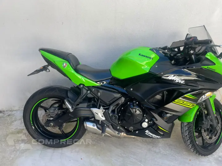 fz 650