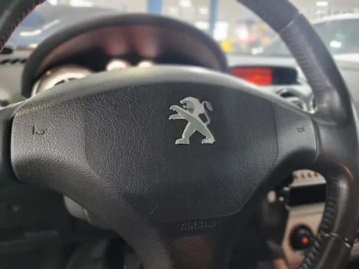 308 Active 1.6 Flex 16V 5p mec.