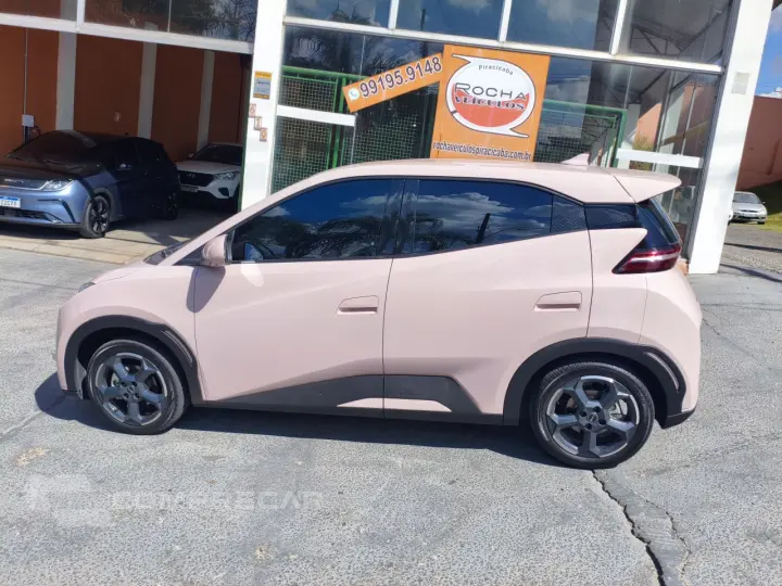 Dolphin Mini 38 KW ELÉTRICO