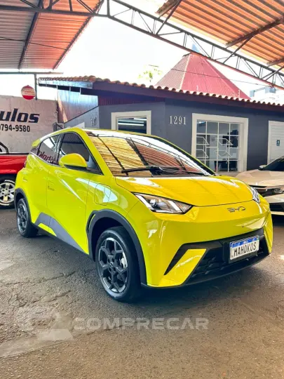 Dolphin Mini (Elétrico)