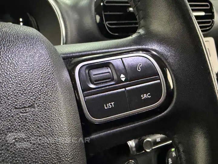 C4 CACTUS 1.6 THP FLEX SHINE EAT6