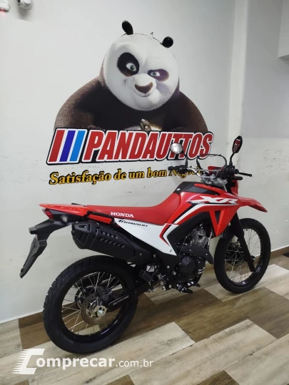 XR 300L 50 cc