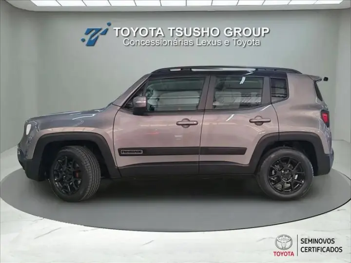 RENEGADE 1.8 16V Sport