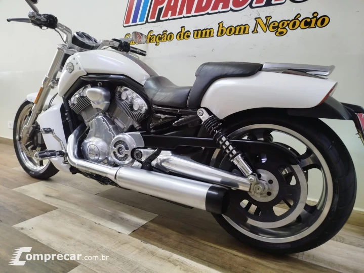 V Rod Custom 1250 cc