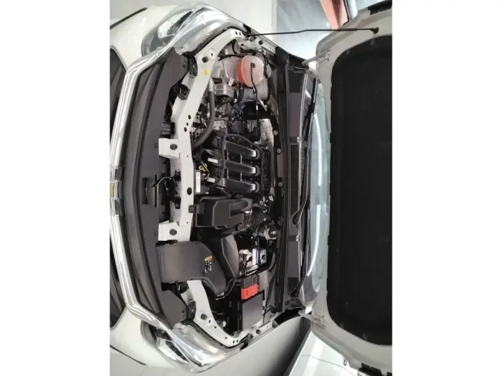 ONIX 1.0 TURBO FLEX LT MANUAL