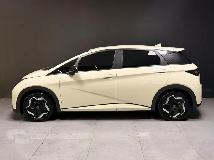 DOLPHIN 44,9 KW ELÉTRICO GS