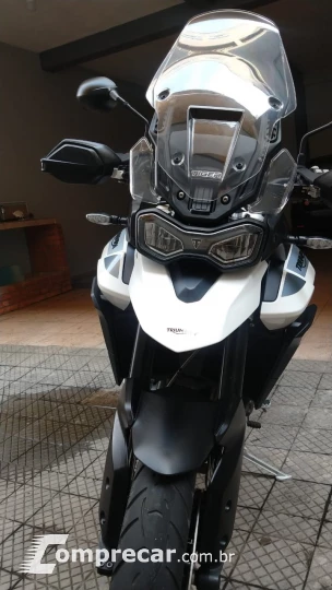 Tiger 900 GT