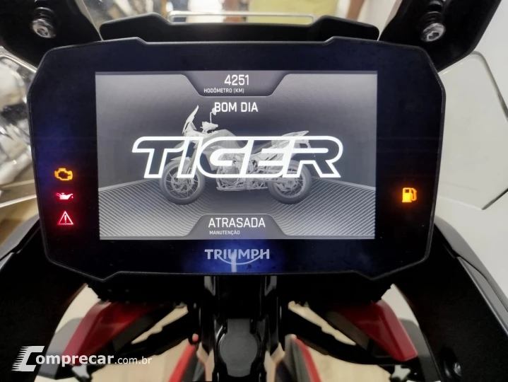 Tiger 900 GT ARAGÓN
