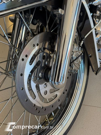 SOFTAIL DELUXE FLSTN