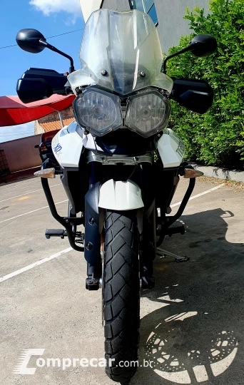 Tiger XRXL 800