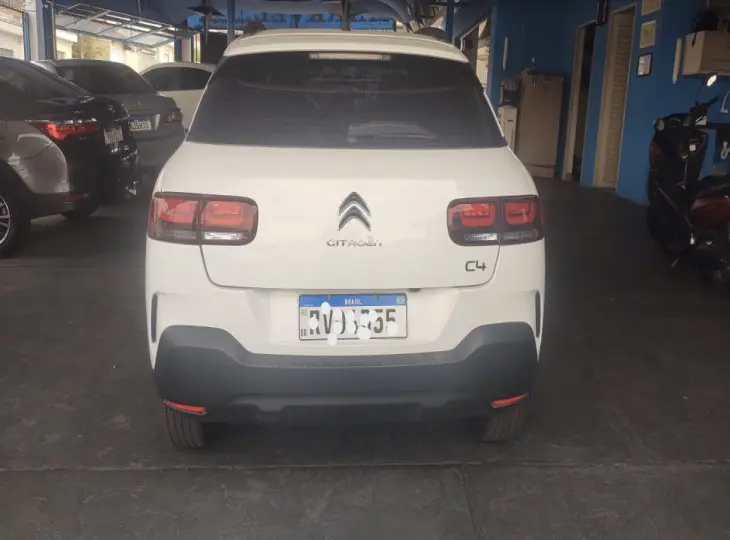 C4 Cactus