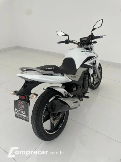 FAZER YS 250 BUEFLEX