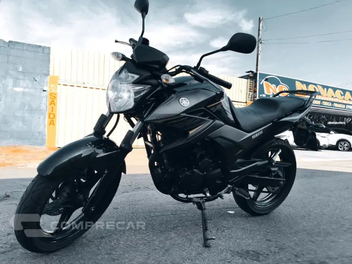 FAZER 250 BLUEFLEX