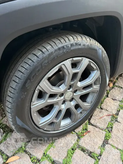 Renegade Longitude 1.3 T270