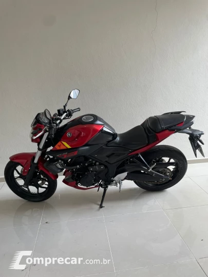 MT 03