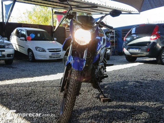 YS 150 FAZER SED - Street