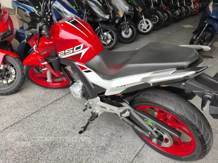 CB 250 TWISTER/FLEXONE