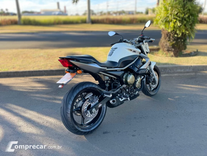 XJ6 N