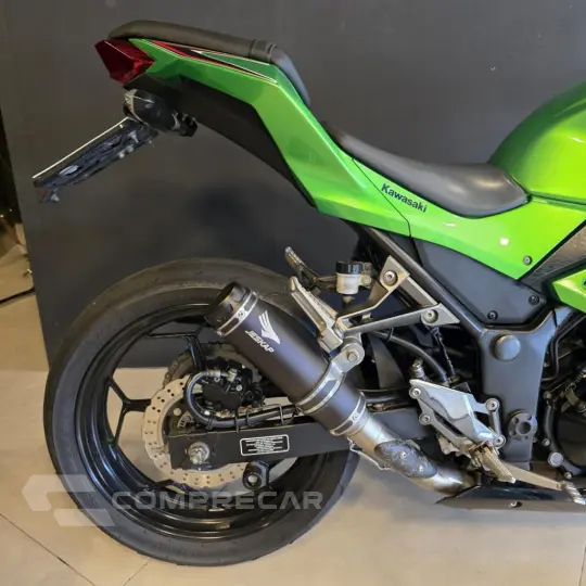 NINJA 300