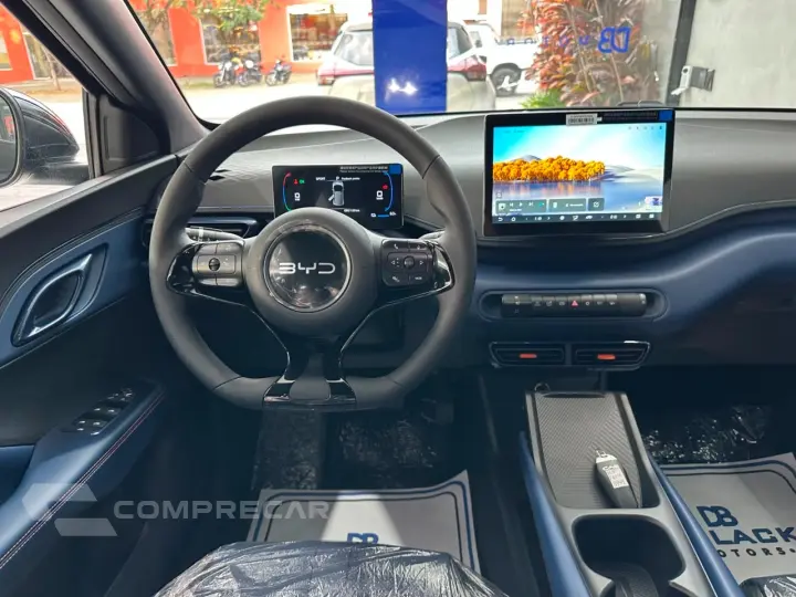 DOLPHIN MINI GL Dolphin Mini (Elétrico)