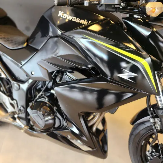 Z 300