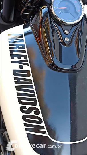 SOFTAIL FAT BOB 114
