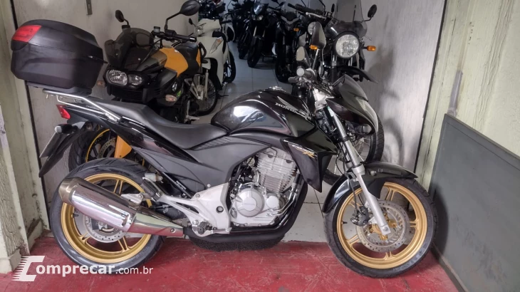 CB 300r