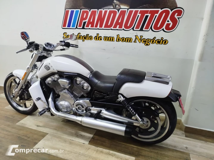 V Rod Custom 1250 cc