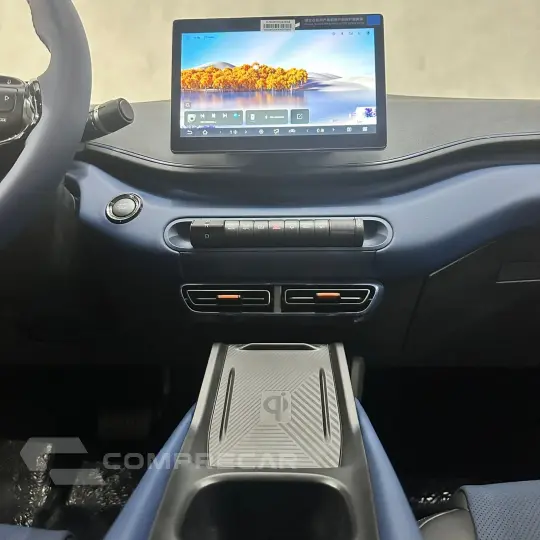 Dolphin Mini (Elétrico)