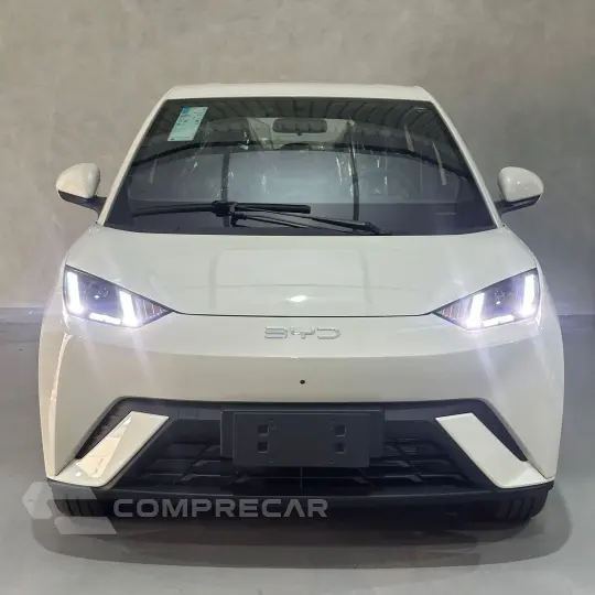 Dolphin Mini (Elétrico)