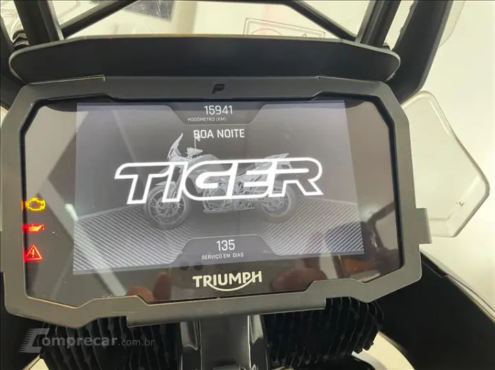 TIGER 900 GT PRO
