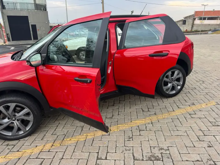 C4 Cactus Feel AT