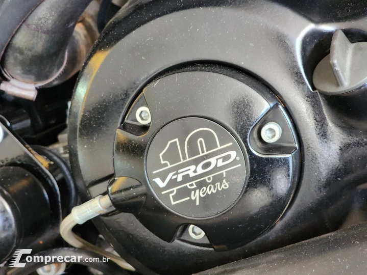 davidson vrscf V-Rod Muscle VRSCF