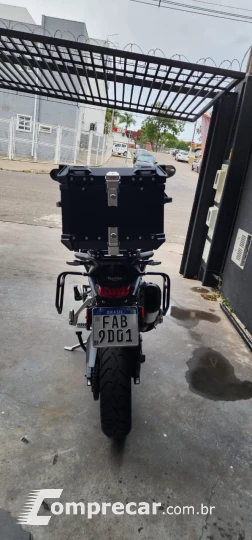 tiger 900 rally pro