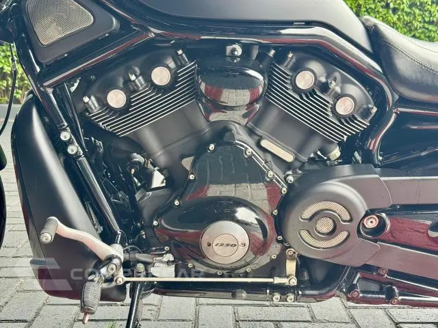 NIGHT ROD SPECIAL - Custom