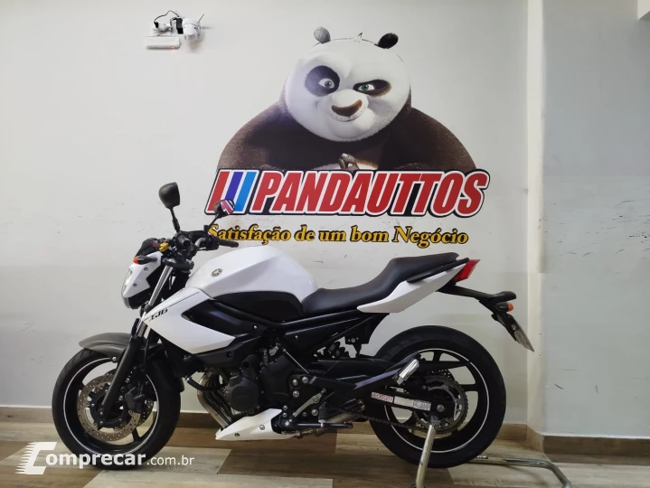 XJ6 N 600 cc