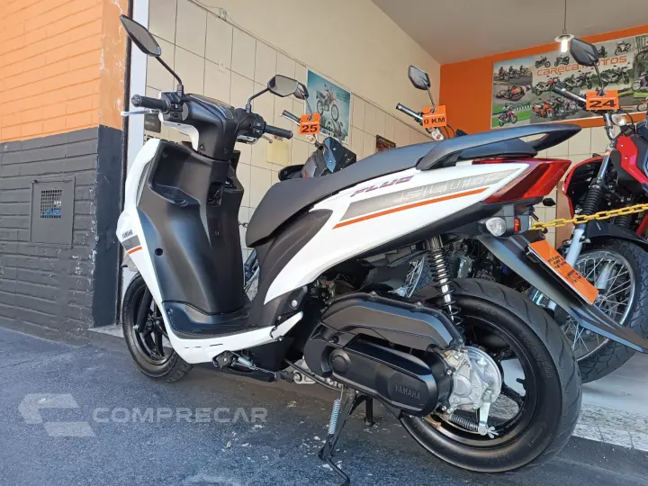 Fluo 125