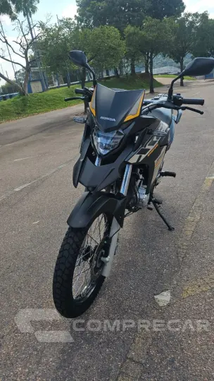 XRE 300/ 300 ABS/ FLEX