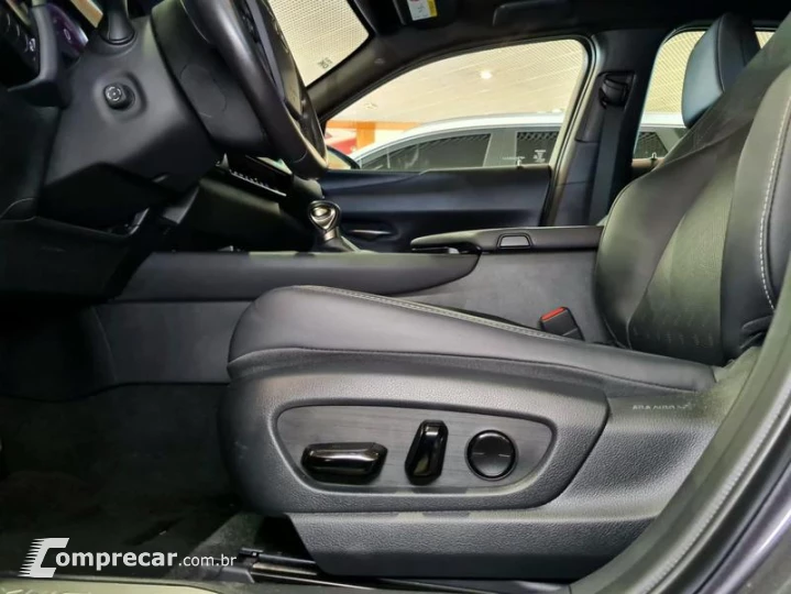 UX250H LUXURY