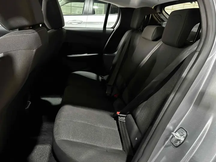 208 1.0 FIREFLY FLEX LIKE MANUAL