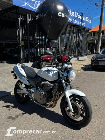 hornet 600