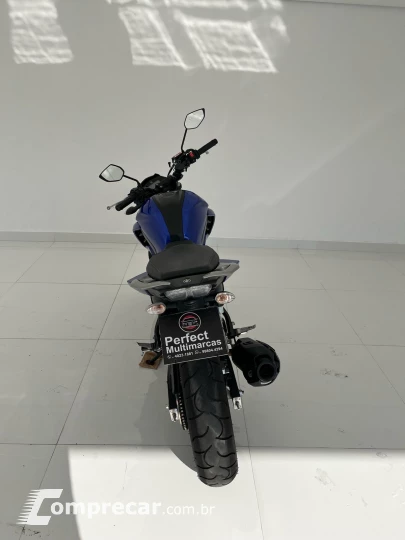 FZ250 FAZER