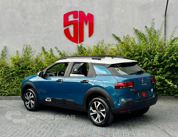 C4 CACTUS 1.6 THP Shine Eat6