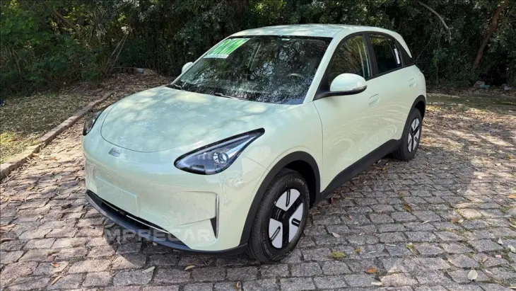 EX2 39,4 KW ELÉTRICO PRO